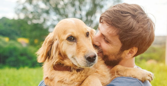 5 Essential Tips for Keeping Your Pet Healthy and Happy