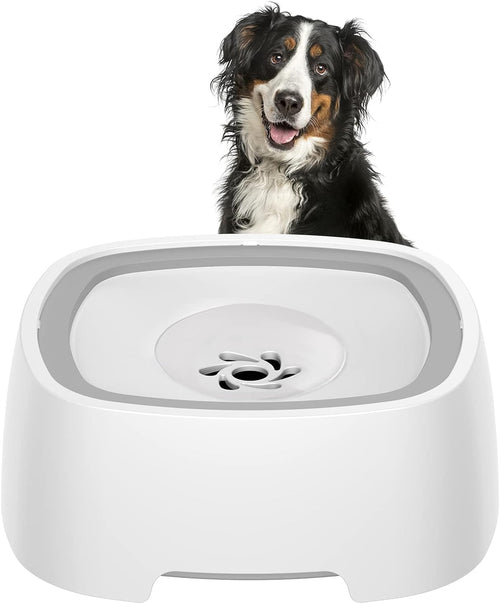 Dog Drinking Water Bowl - Paw World Shop™