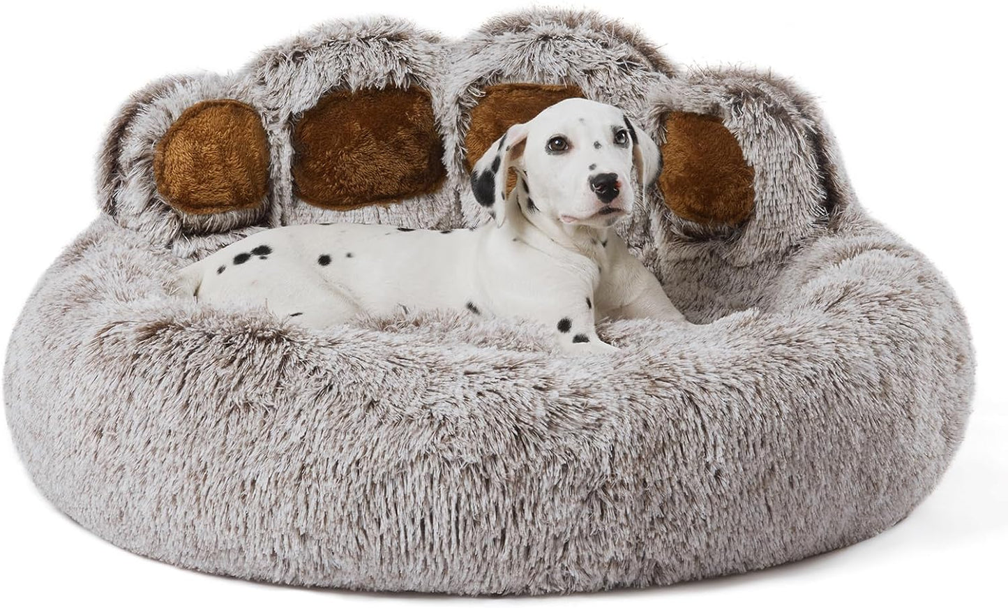 Pet Paw Bed - Paw World Shop™