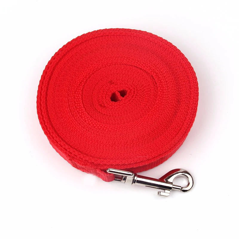 Heavy-Duty Nylon Dog Leash - Paw World Shop™