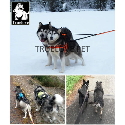 Truelove No-Tangle Double Dog Leash – Walk Two Dogs with Ease