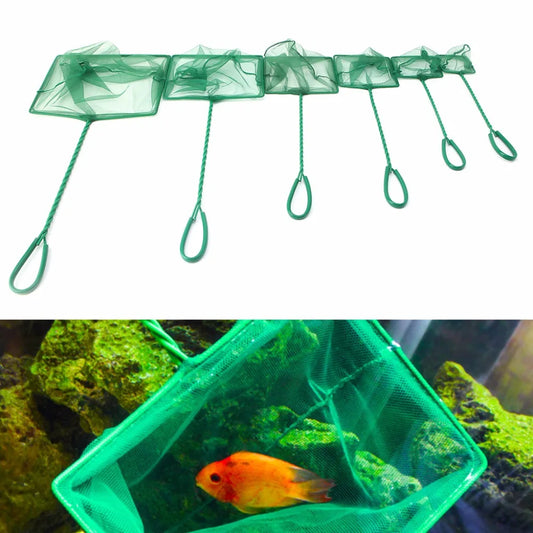 Aquarium Fish Net – Fine Mesh for Safe & Easy Fish Handling