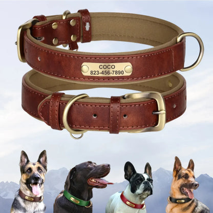 Leather Dog Collar - Paw World Shop™