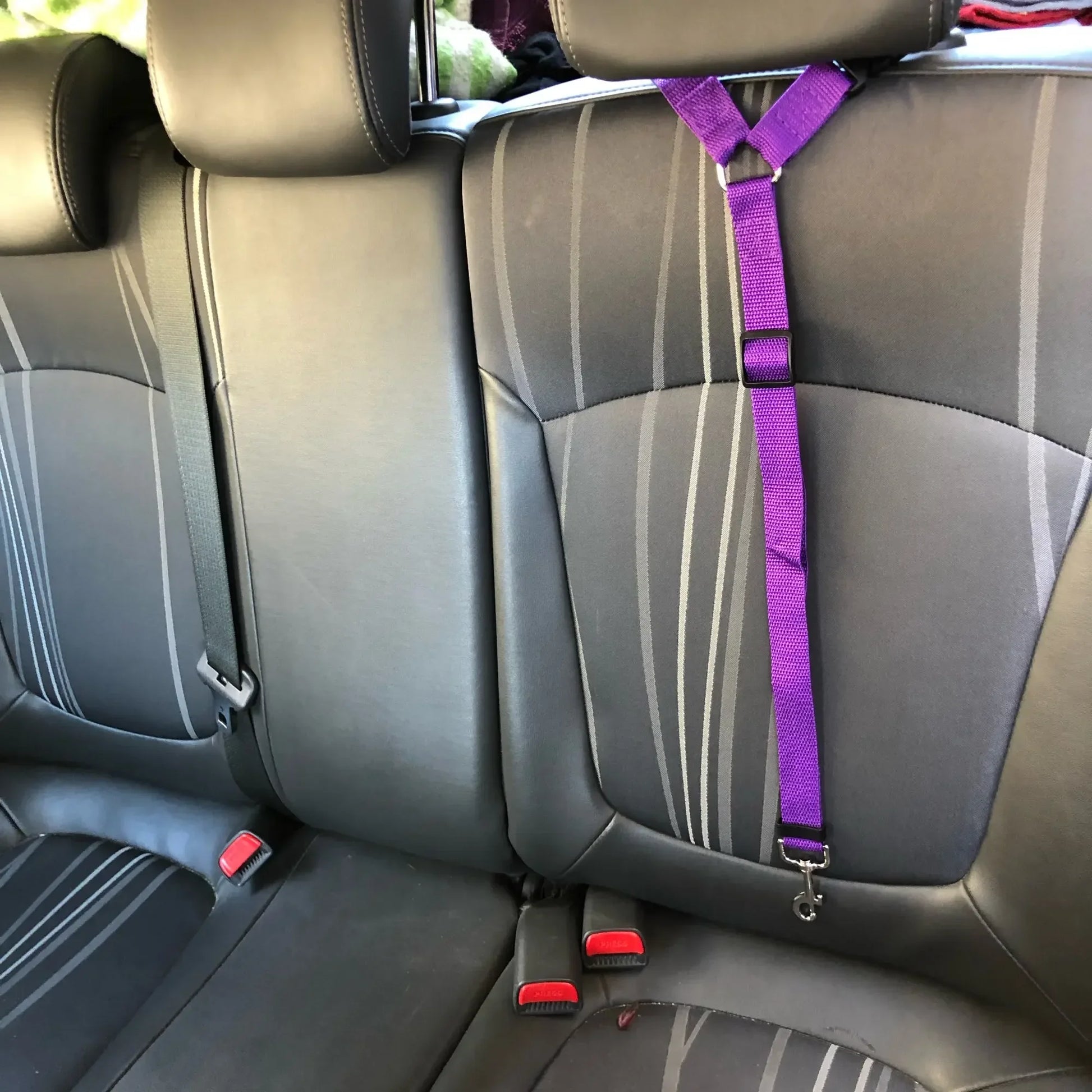 Two-in-one Pet Car Seat Belt - Paw World Shop™