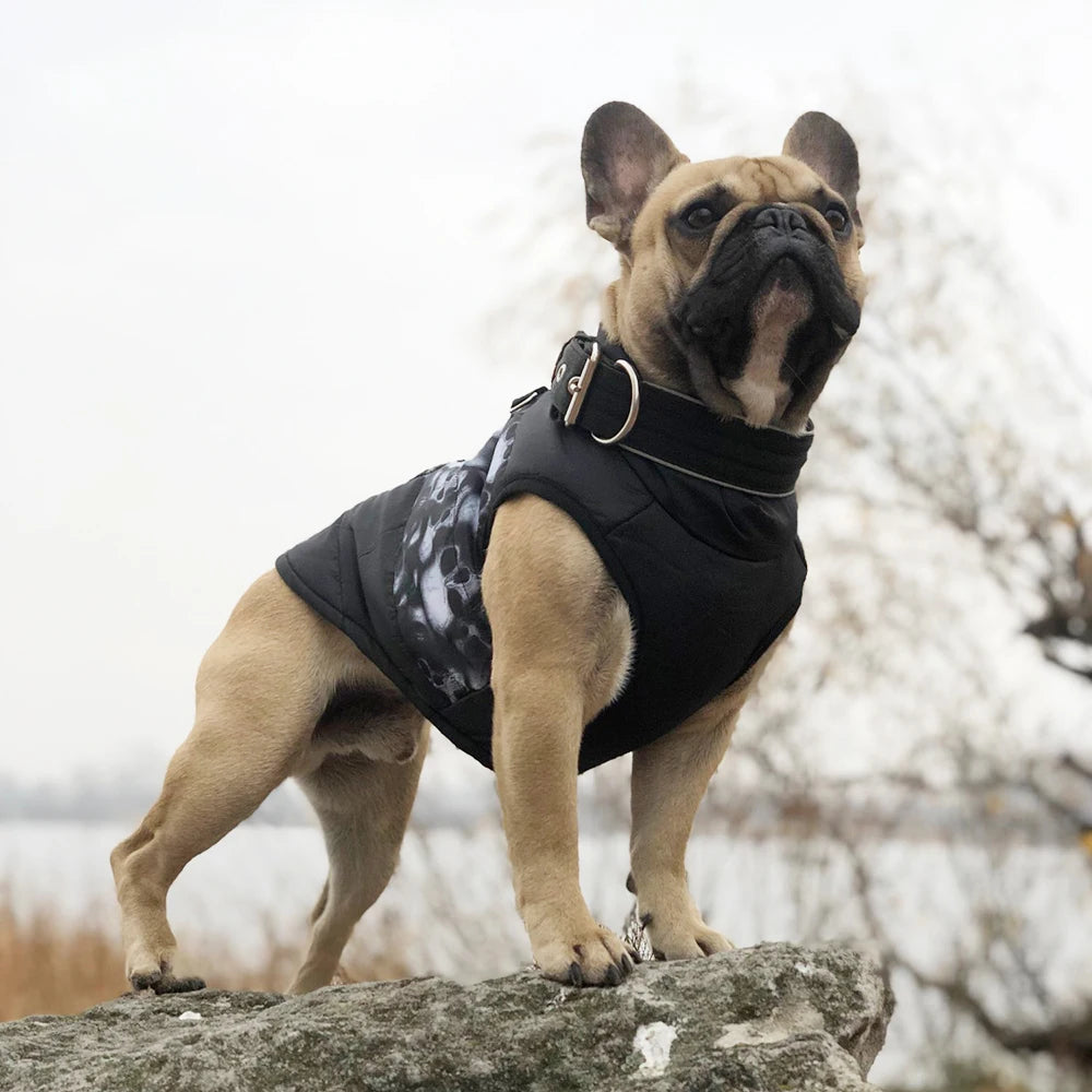 Waterproof Winter Dog Jacket - Paw World Shop™