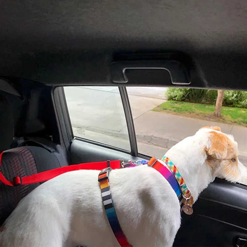 Two-in-one Pet Car Seat Belt - Paw World Shop™