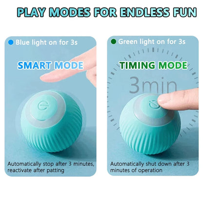 Cat Interactive Ball - Paw World Shop™
