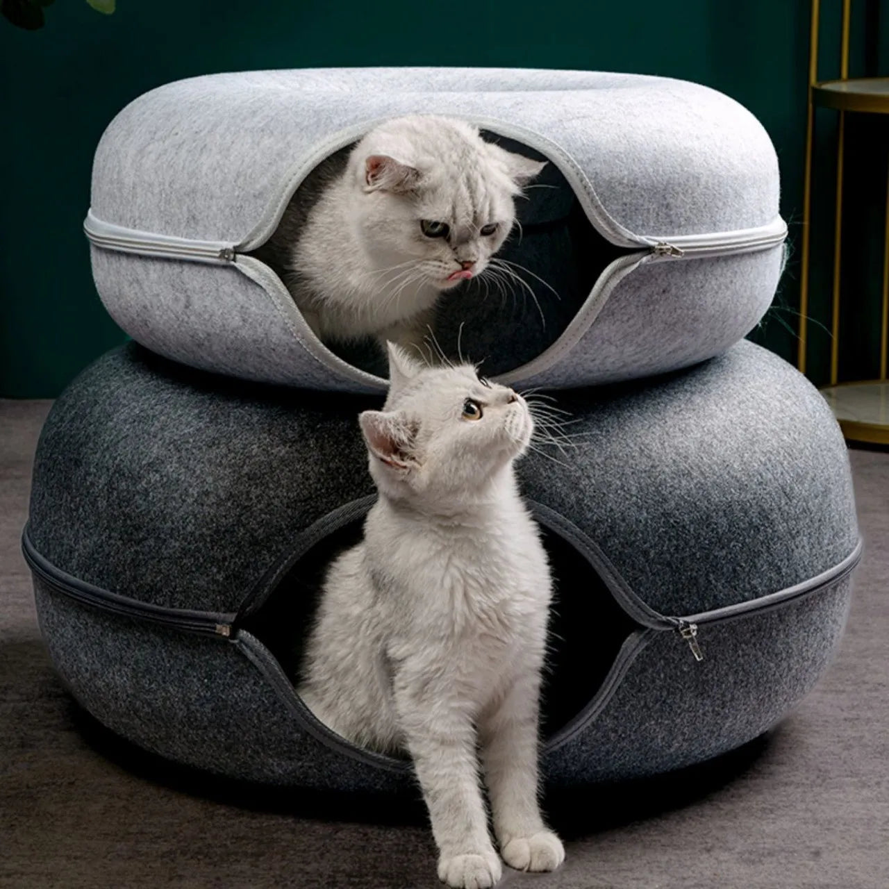 Donut Cat Bed and Playground - Paw World Shop™