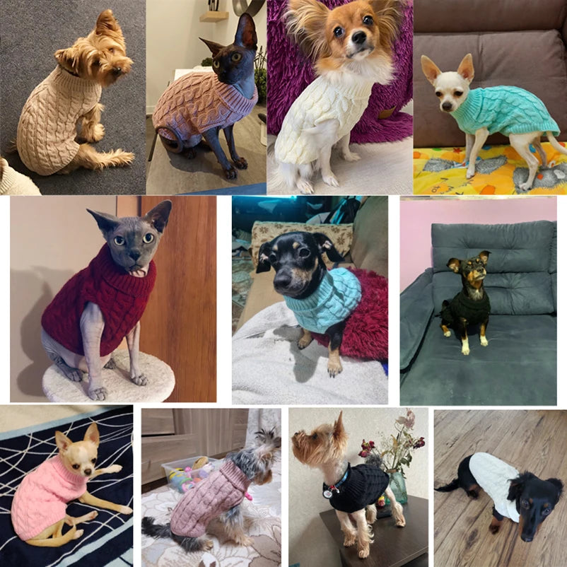 Warm & Stylish Dog Sweater – Perfect for Winter