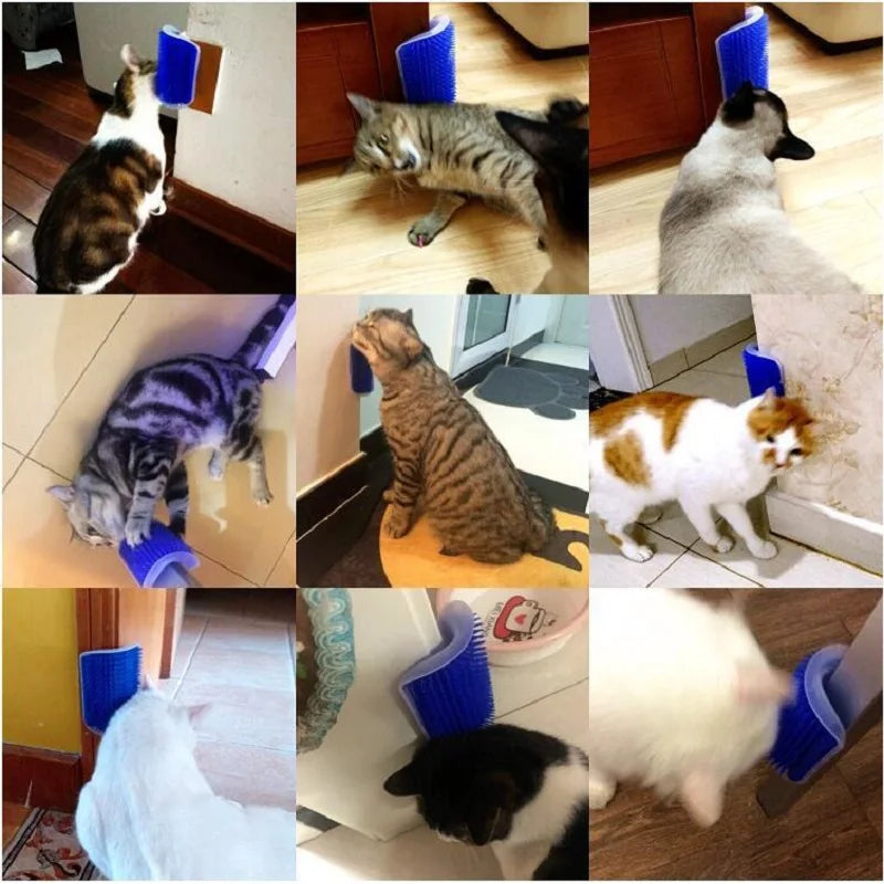Cat Scratcher Brush - Paw World Shop™