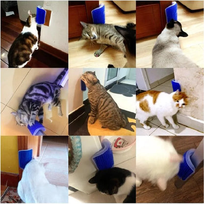 Cat Scratcher Brush - Paw World Shop™