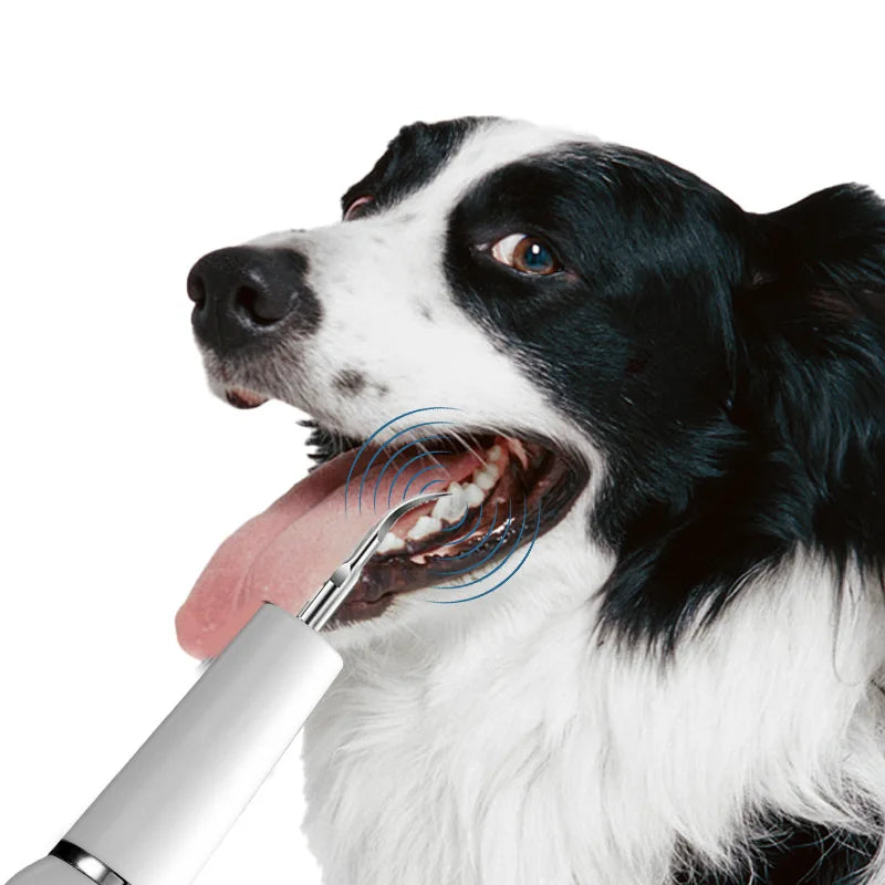 Ultrasonic Toothbrush for Pets - Paw World Shop™