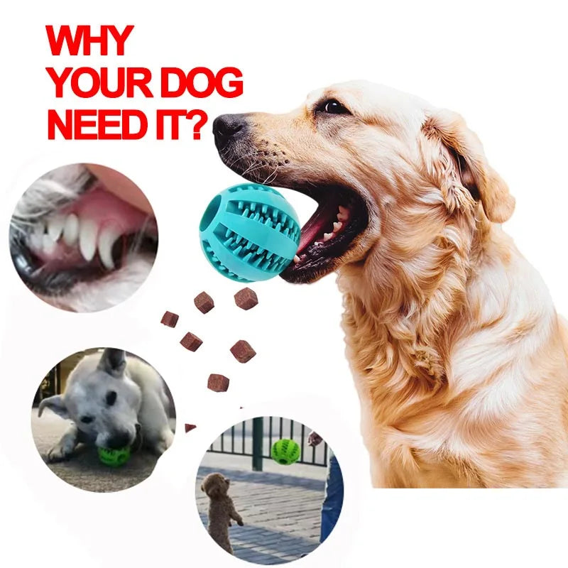 Dog Chewing Ball - Paw World Shop™