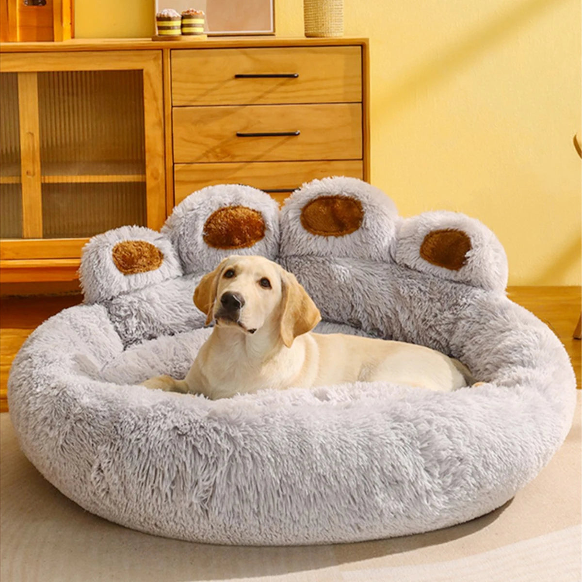 Pet Paw Bed - Paw World Shop™