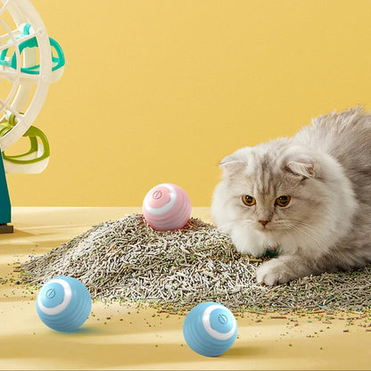Cat Interactive Ball - Paw World Shop™
