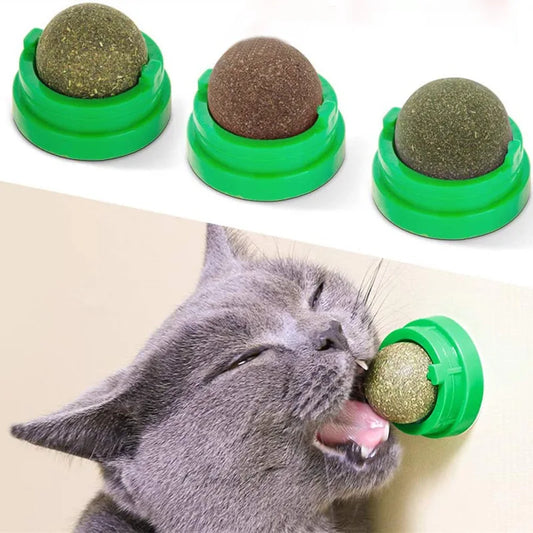 Wall-Mounted Catnip Ball – Interactive & Stimulating Licking Toy for Cats