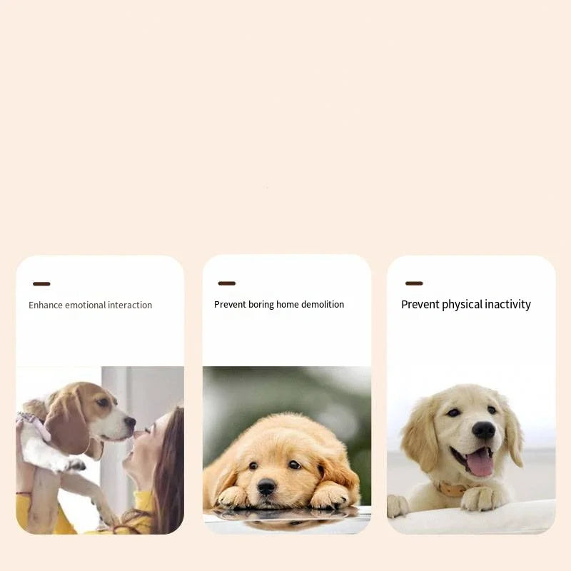 Dog Communication Buttons - Paw World Shop™