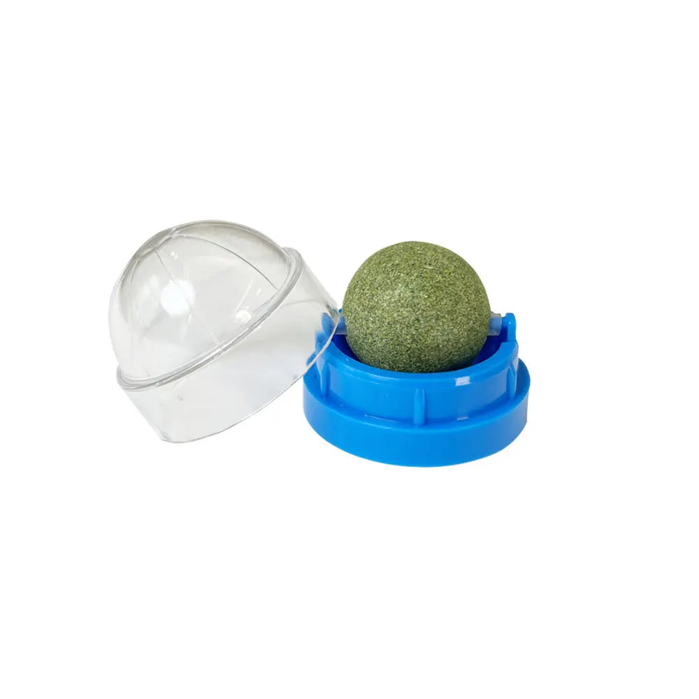 Wall-Mounted Catnip Ball - Paw World Shop™