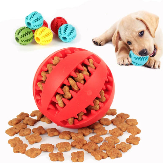 Dog Chewing Ball - Paw World Shop™