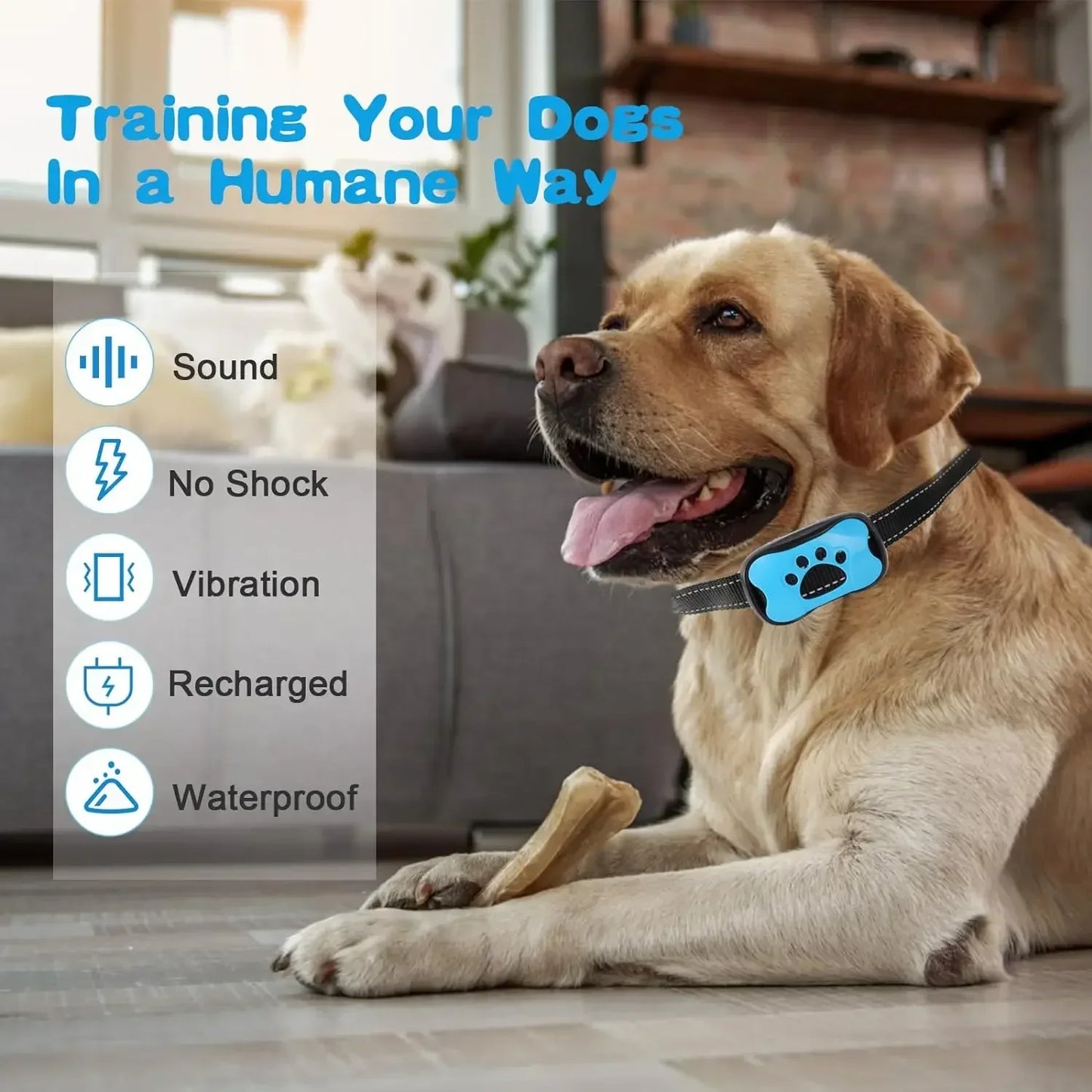 Anti Barking Collar - Paw World Shop™