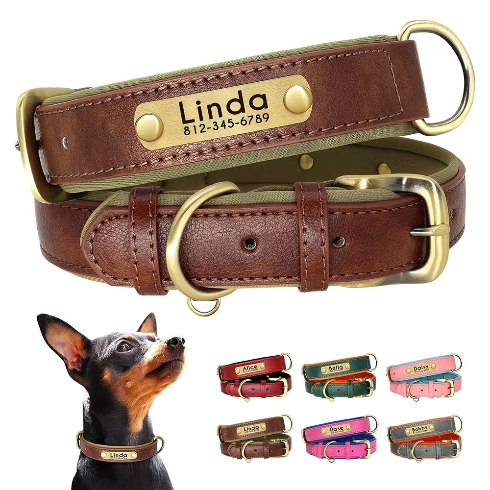 Leather Dog Collar - Paw World Shop™