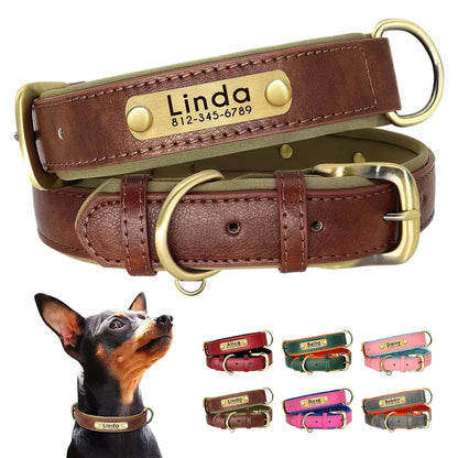 Leather Dog Collar - Paw World Shop™