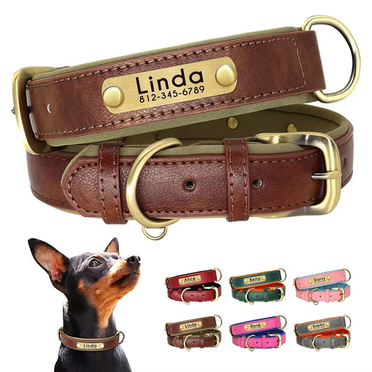 Leather Dog Collar - Paw World Shop™