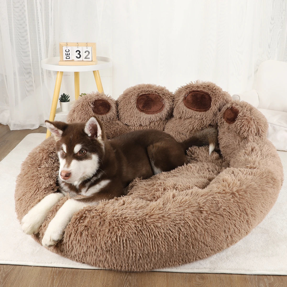 Pet Paw Bed - Paw World Shop™