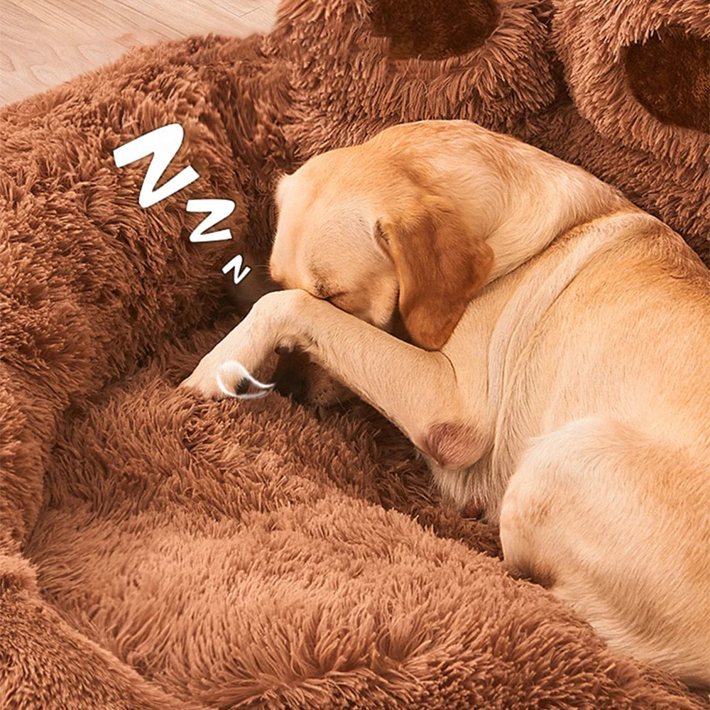 Pet Paw Bed - Paw World Shop™