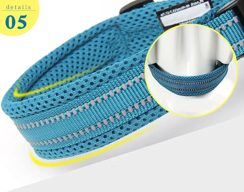 Truelove Reflective Dog Collar – Durable, Comfortable & Escape-Proof