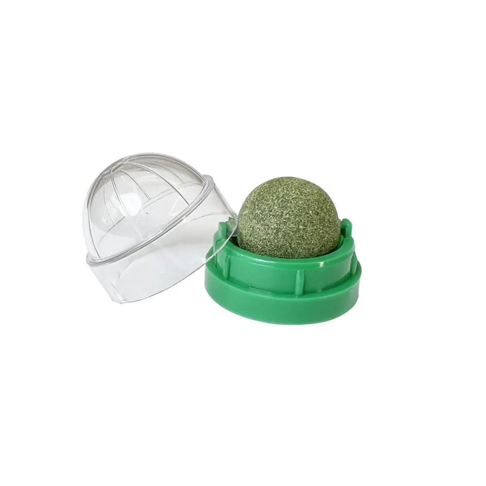 Wall-Mounted Catnip Ball - Paw World Shop™