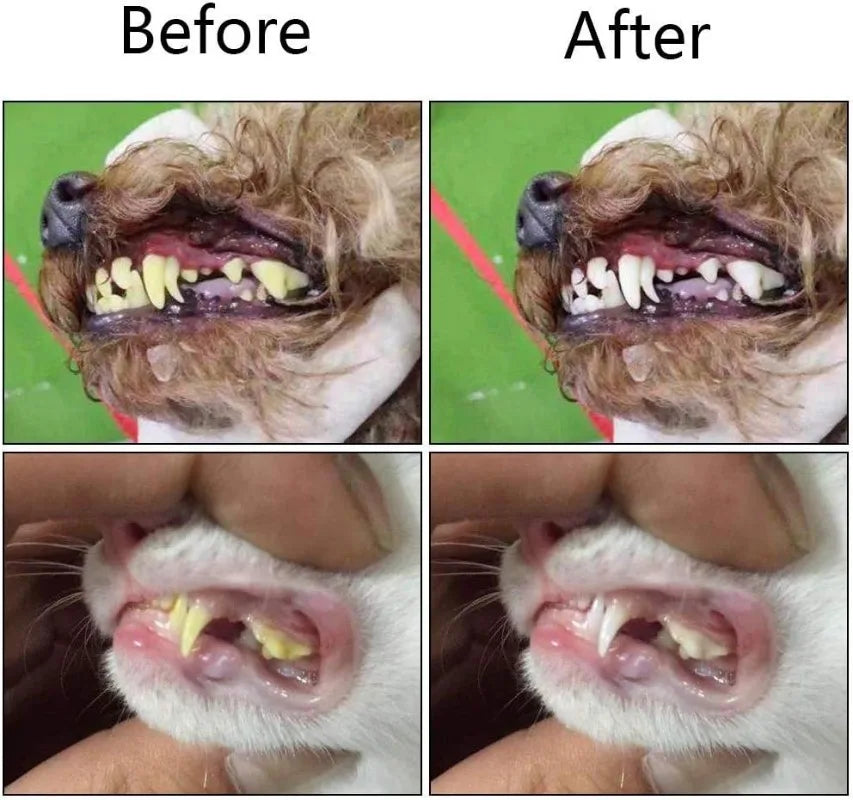 Soft Pet Finger Toothbrushes - Paw World Shop™