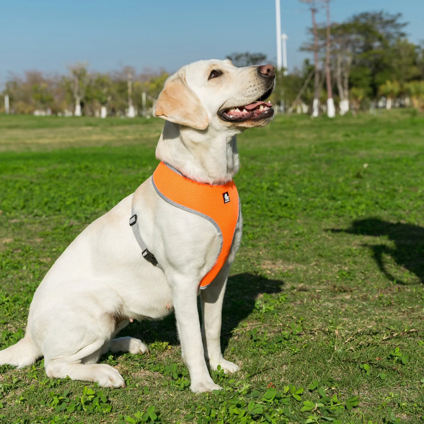 Truelove Adjustable Mesh Dog Harness – Lightweight, Breathable & Secure