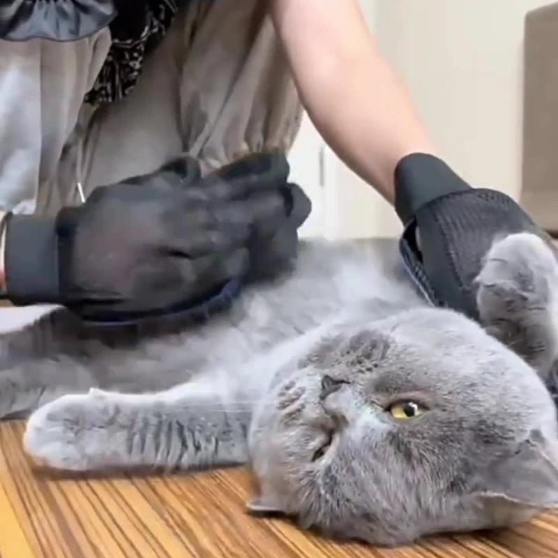 Silicone Pet Grooming Gloves - Paw World Shop™