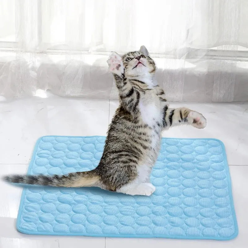 Cooling Dog Mat – Keep Your Pet Cool & Comfortable