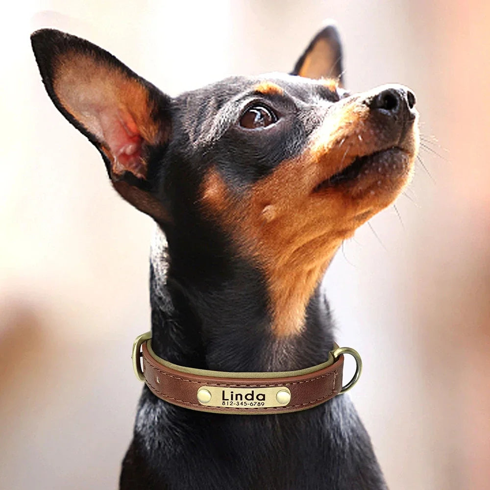 Leather Dog Collar - Paw World Shop™