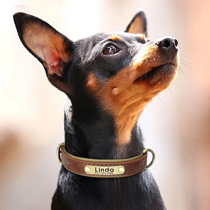 Leather Dog Collar - Paw World Shop™