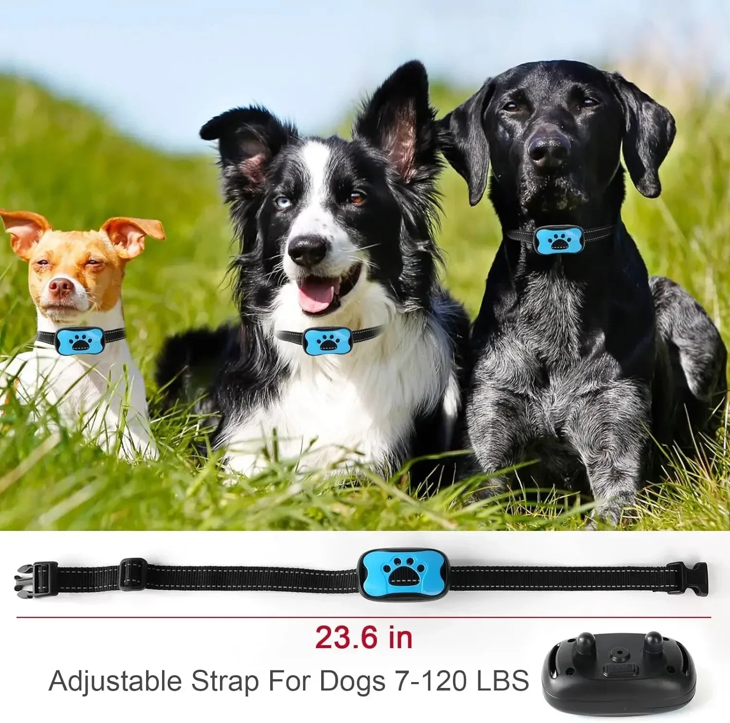 Anti Barking Collar - Paw World Shop™